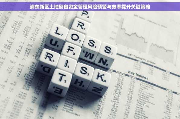浦东新区土地储备资金管理风险预警与效率提升关键策略