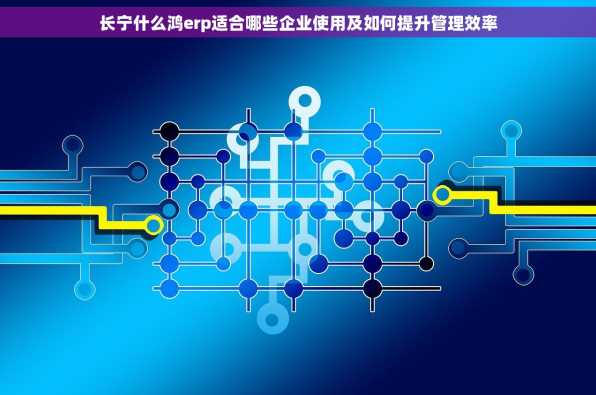长宁什么鸿erp适合哪些企业使用及如何提升管理效率