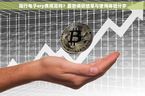 闽行电子erp费用高吗？最新调研结果与使用体验分享