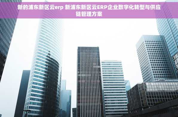 新的浦东新区云erp 新浦东新区云ERP企业数字化转型与供应链管理方案
