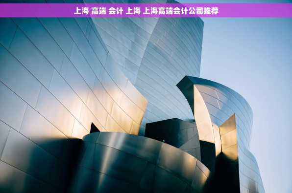 上海 高端 会计 上海 上海高端会计公司推荐