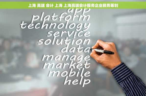 上海 高端 会计 上海 上海高端会计服务企业税务筹划