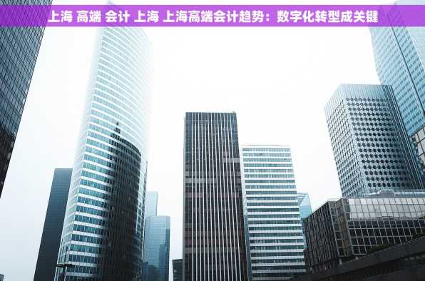 上海 高端 会计 上海 上海高端会计趋势：数字化转型成关键