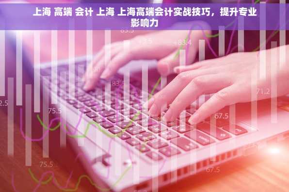 上海 高端 会计 上海 上海高端会计实战技巧，提升专业影响力