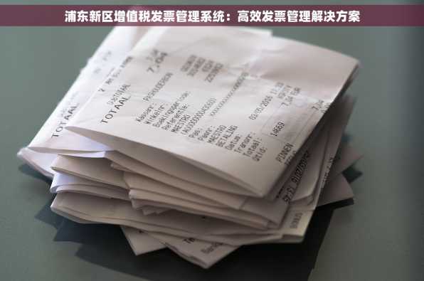 浦东新区增值税发票管理系统：高效发票管理解决方案