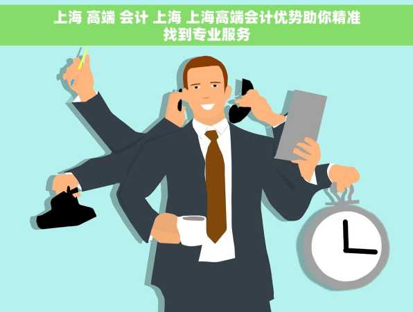 上海 高端 会计 上海 上海高端会计优势助你精准找到专业服务