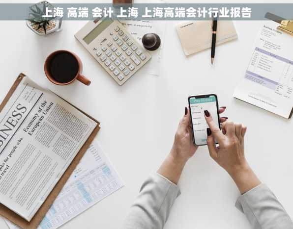 上海 高端 会计 上海 上海高端会计行业报告