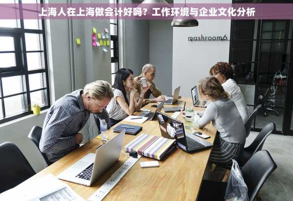 上海人在上海做会计好吗？工作环境与企业文化分析