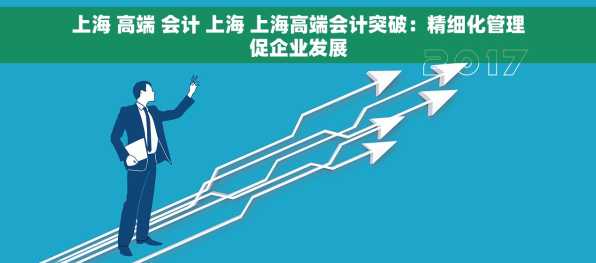 上海 高端 会计 上海 上海高端会计突破：精细化管理促企业发展