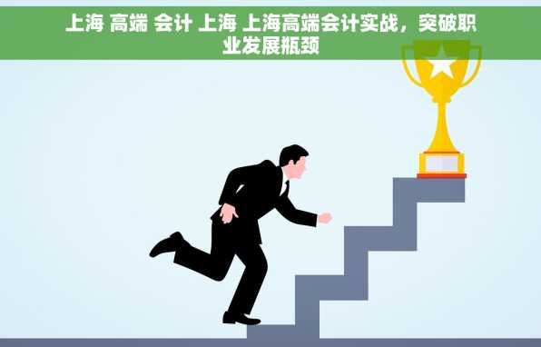 上海 高端 会计 上海 上海高端会计实战，突破职业发展瓶颈