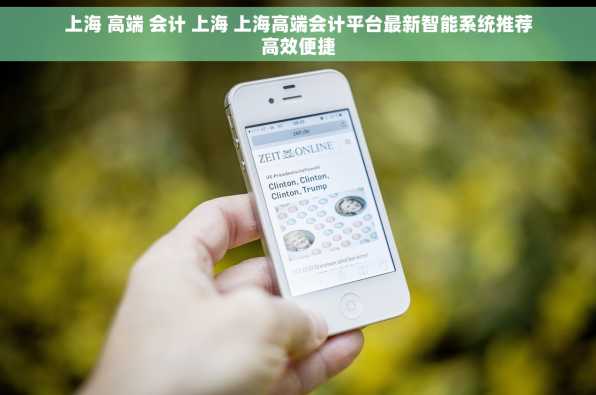 上海 高端 会计 上海 上海高端会计平台最新智能系统推荐高效便捷