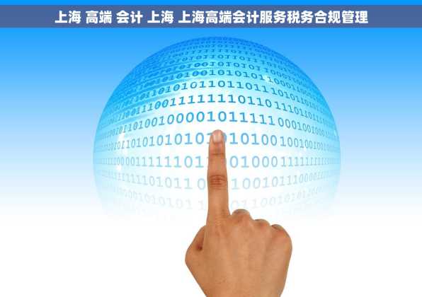上海 高端 会计 上海 上海高端会计服务税务合规管理