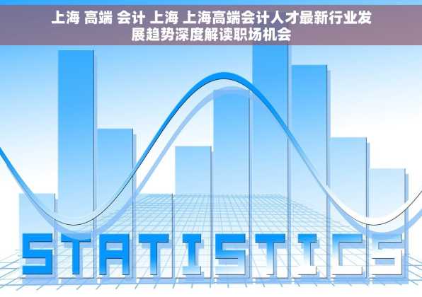 上海 高端 会计 上海 上海高端会计人才最新行业发展趋势深度解读职场机会