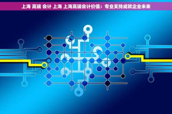 上海 高端 会计 上海 上海高端会计价值：专业支持成就企业未来