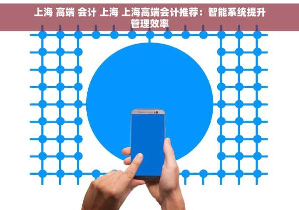 上海 高端 会计 上海 上海高端会计推荐：智能系统提升管理效率