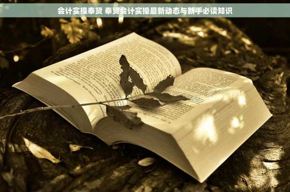 会计实操奉贤 奉贤会计实操最新动态与新手必读知识