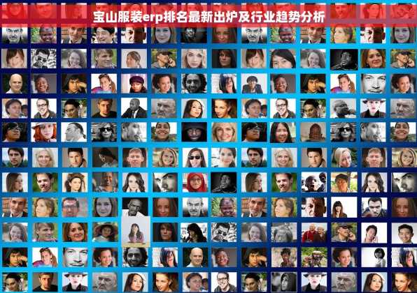 宝山服装erp排名最新出炉及行业趋势分析