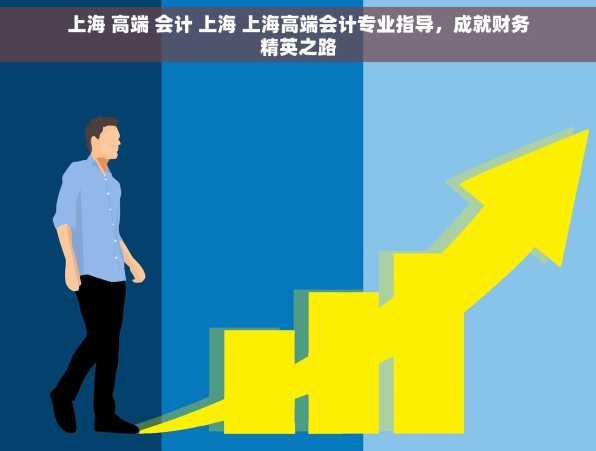 上海 高端 会计 上海 上海高端会计专业指导，成就财务精英之路