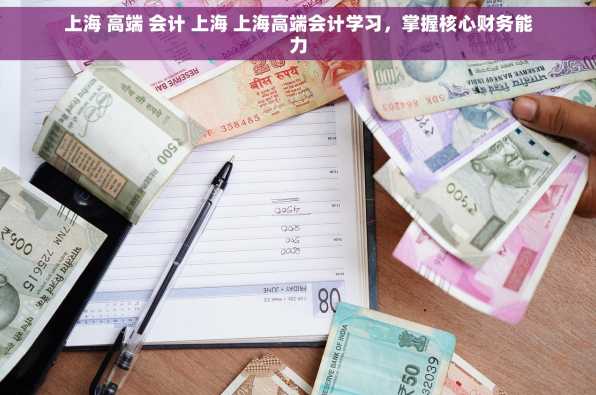 上海 高端 会计 上海 上海高端会计学习，掌握核心财务能力