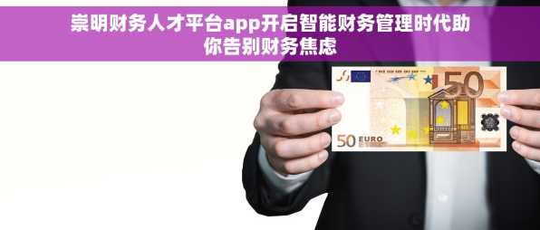 崇明财务人才平台app开启智能财务管理时代助你告别财务焦虑