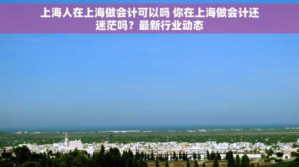 上海人在上海做会计可以吗 你在上海做会计还迷茫吗？最新行业动态