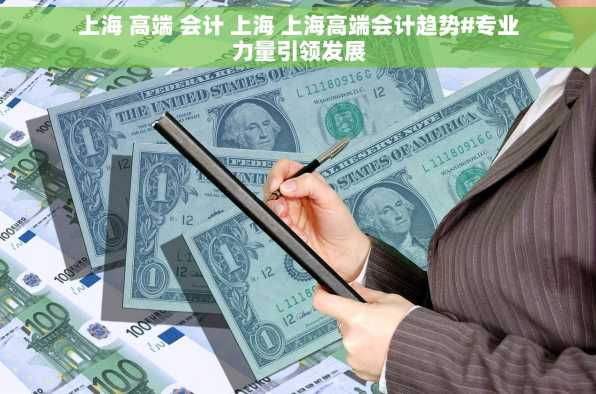 上海 高端 会计 上海 上海高端会计趋势#专业力量引领发展