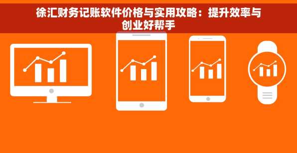 徐汇财务记账软件价格与实用攻略：提升效率与创业好帮手