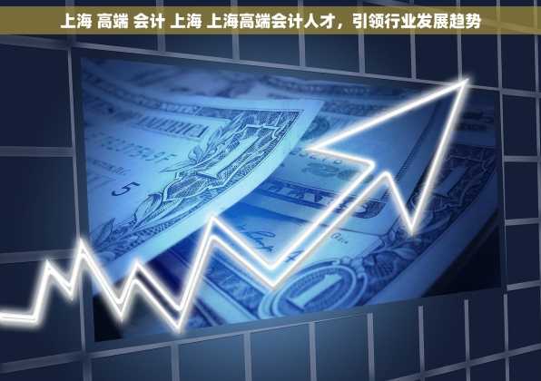 上海 高端 会计 上海 上海高端会计人才，引领行业发展趋势