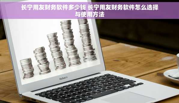 长宁用友财务软件多少钱 长宁用友财务软件怎么选择与使用方法