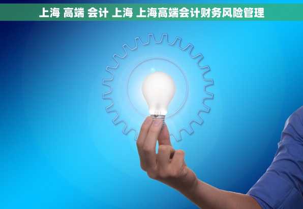 上海 高端 会计 上海 上海高端会计财务风险管理