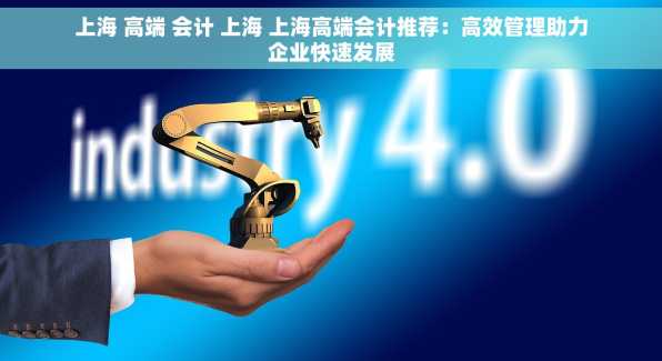 上海 高端 会计 上海 上海高端会计推荐：高效管理助力企业快速发展