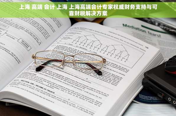 上海 高端 会计 上海 上海高端会计专家权威财务支持与可靠财税解决方案