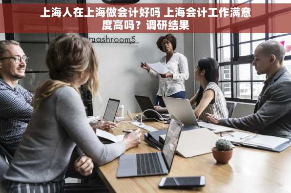 上海人在上海做会计好吗 上海会计工作满意度高吗？调研结果