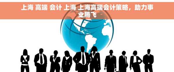 上海 高端 会计 上海 上海高端会计策略，助力事业腾飞