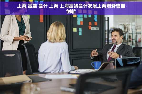 上海 高端 会计 上海 上海高端会计发展上海财务管理创新