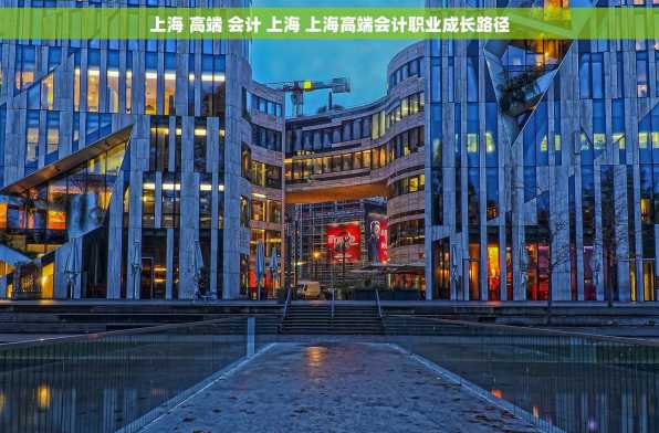 上海 高端 会计 上海 上海高端会计职业成长路径