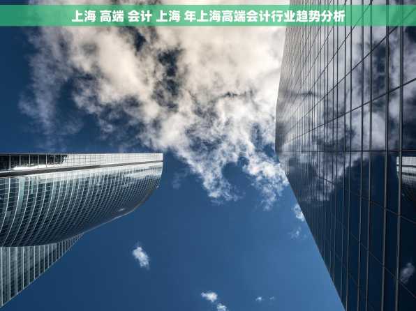 上海 高端 会计 上海 年上海高端会计行业趋势分析