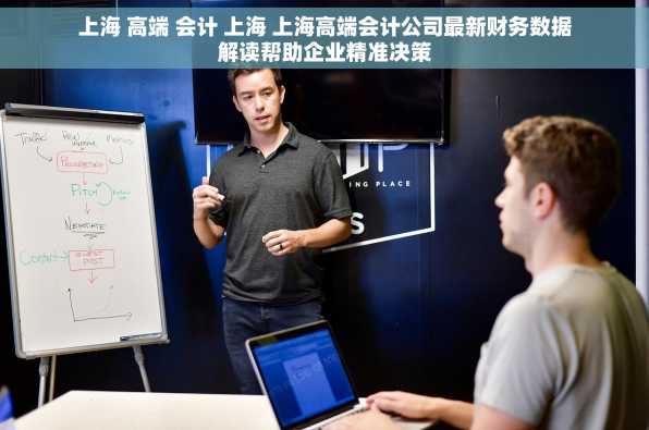 上海 高端 会计 上海 上海高端会计公司最新财务数据解读帮助企业精准决策