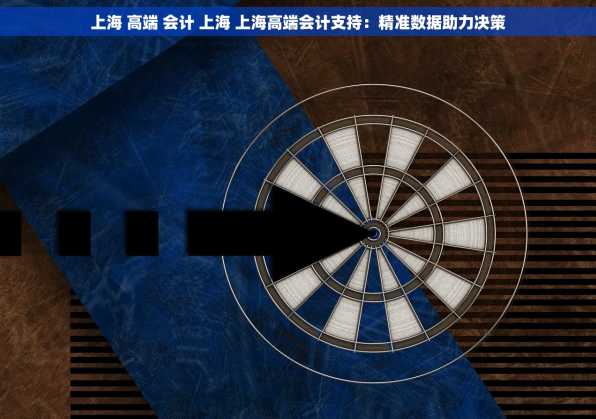 上海 高端 会计 上海 上海高端会计支持：精准数据助力决策