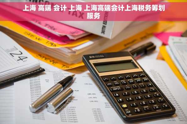 上海 高端 会计 上海 上海高端会计上海税务筹划服务