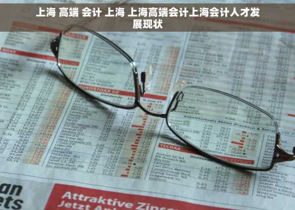 上海 高端 会计 上海 上海高端会计上海会计人才发展现状