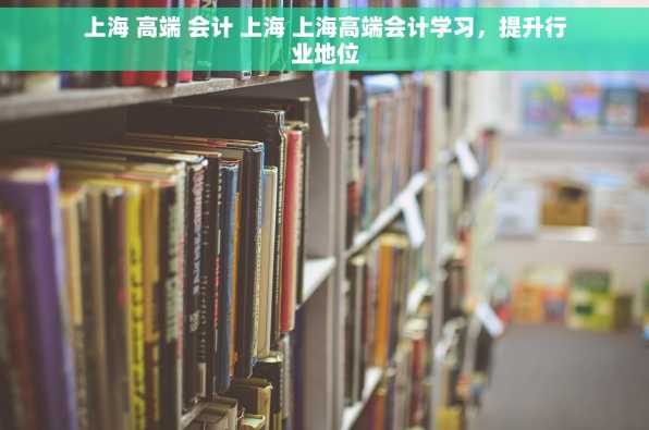上海 高端 会计 上海 上海高端会计学习，提升行业地位