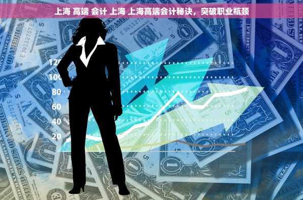 上海 高端 会计 上海 上海高端会计秘诀，突破职业瓶颈