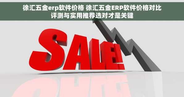 徐汇五金erp软件价格 徐汇五金ERP软件价格对比评测与实用推荐选对才是关键