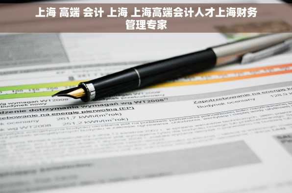 上海 高端 会计 上海 上海高端会计人才上海财务管理专家