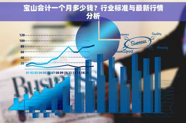 宝山会计一个月多少钱？行业标准与最新行情分析