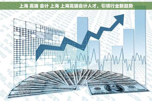 上海 高端 会计 上海 上海高端会计人才，引领行业新趋势