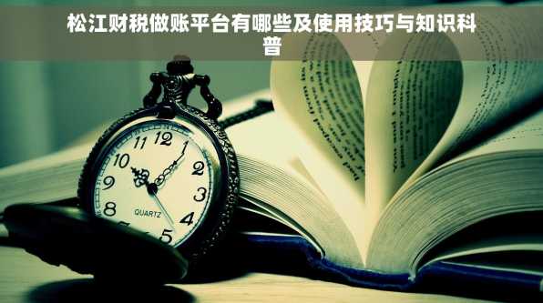 松江财税做账平台有哪些及使用技巧与知识科普