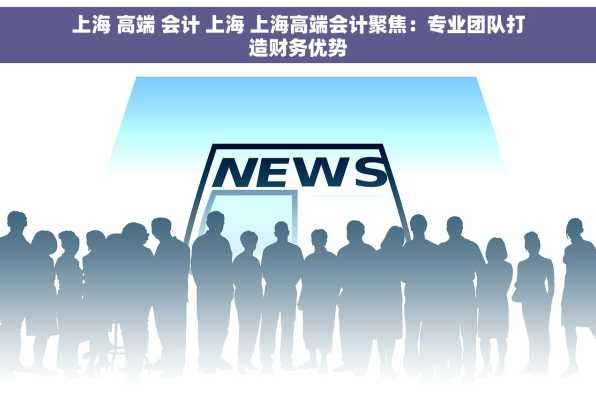 上海 高端 会计 上海 上海高端会计聚焦：专业团队打造财务优势