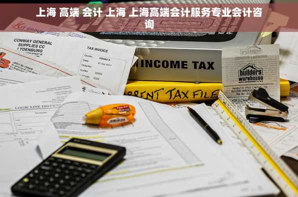 上海 高端 会计 上海 上海高端会计服务专业会计咨询